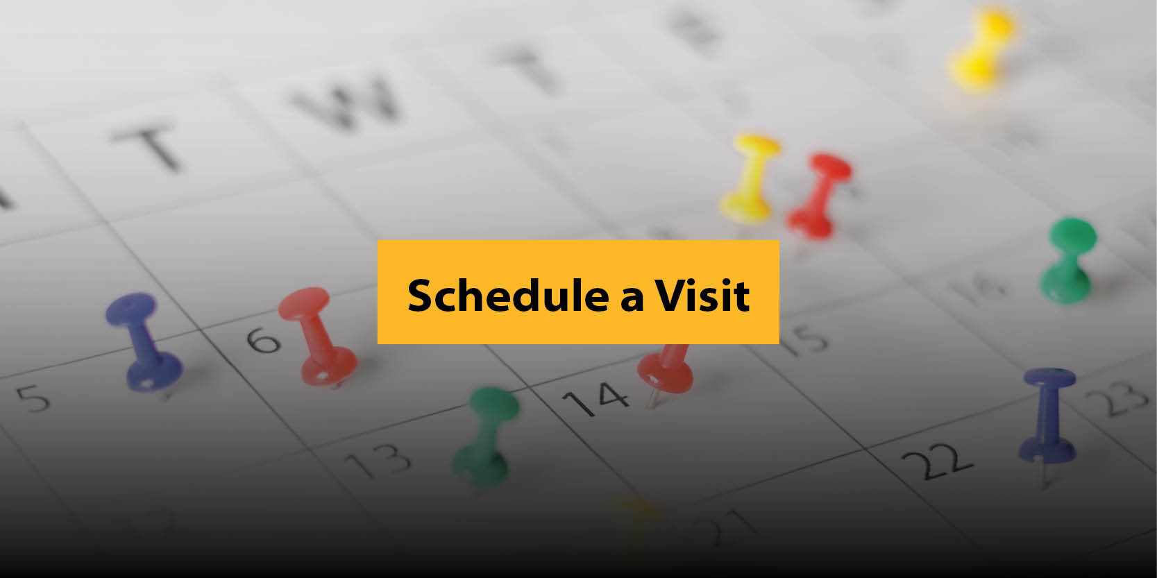 Schedule a Visit Button