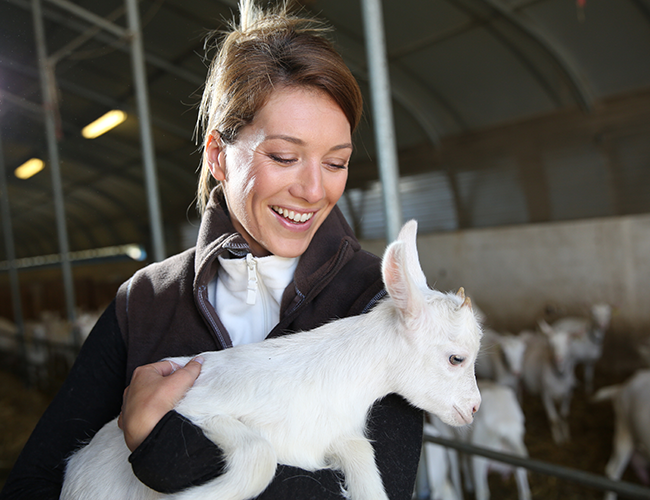 woman holding a baby sheep