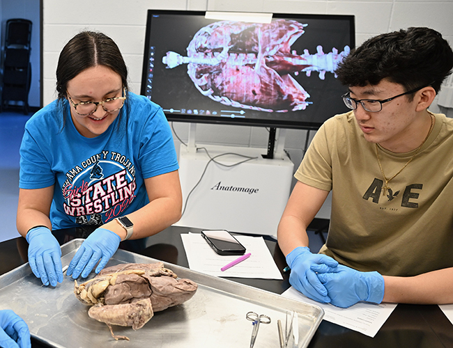 femal and male student disecting